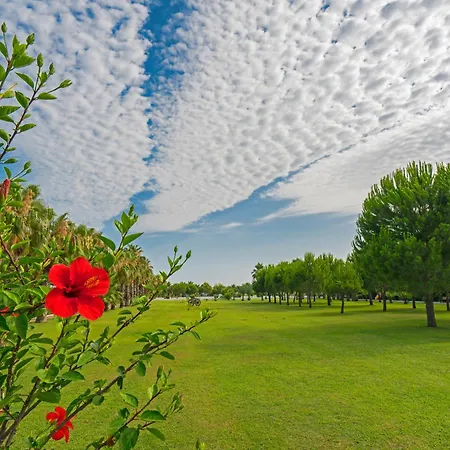 리조트 Sural 시데
